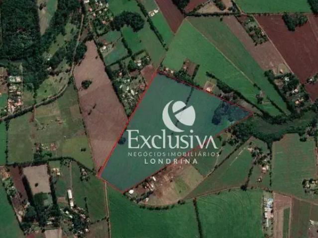 Sítio e chácara venda em Região Geográfica Imediata de Londrina, Londrina