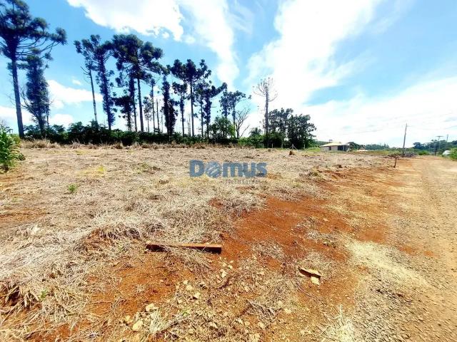 Sítio e chácara venda em Região Geográfica Imediata de Londrina, Londrina