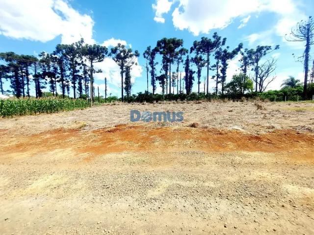 Sítio e chácara venda em Região Geográfica Imediata de Londrina, Londrina