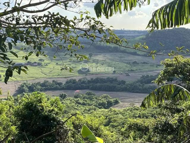 Sítio e chácara venda em Região Geográfica Imediata de Londrina, Ibiporã