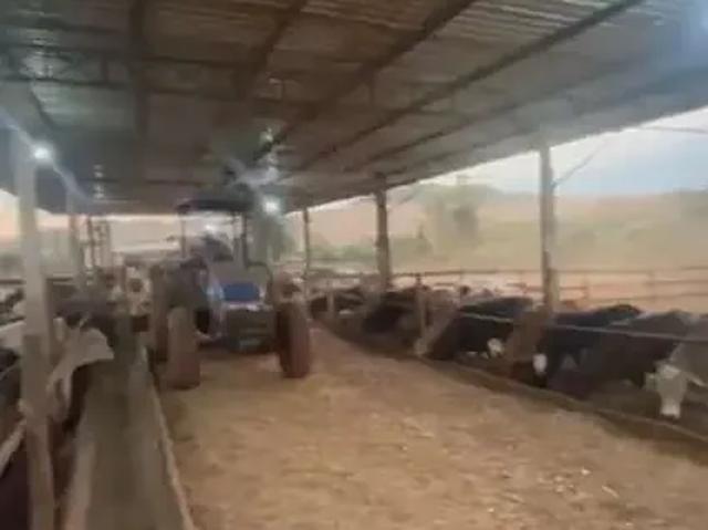 Sítio e chácara venda em Londrina, Guaravera