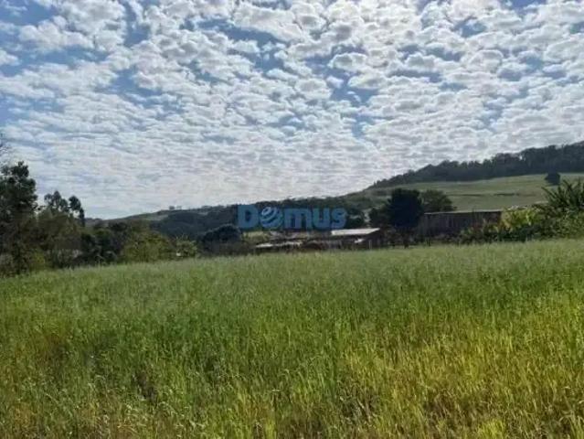 Sítio e chácara venda em Região Geográfica Imediata de Londrina, Londrina