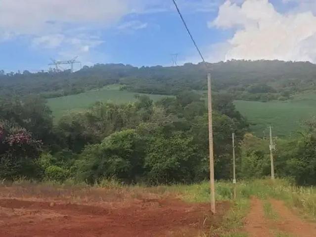 Sítio e chácara venda em Região Geográfica Imediata de Londrina, Londrina