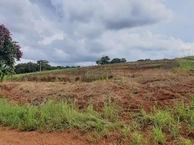 Sítio e chácara venda em Região Geográfica Imediata de Londrina, Londrina