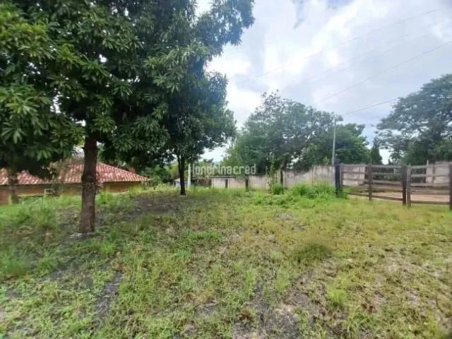 Sítio e chácara venda em Região Geográfica Imediata de Londrina, Londrina