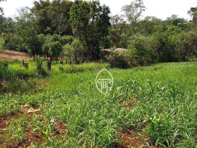 Sítio e chácara venda em Região Geográfica Imediata de Londrina, Londrina