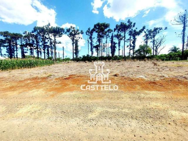 Sítio e chácara venda em Região Geográfica Imediata de Londrina, Londrina