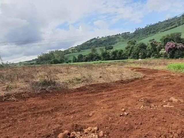 Sítio e chácara venda em Região Geográfica Imediata de Londrina, Londrina