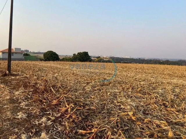 Sítio e chácara venda em Região Geográfica Imediata de Londrina, Londrina