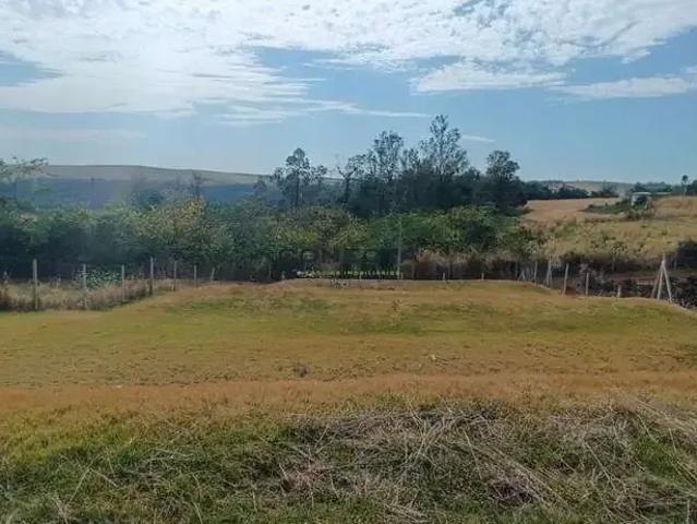 Sítio e chácara venda em Região Geográfica Imediata de Londrina, Londrina
