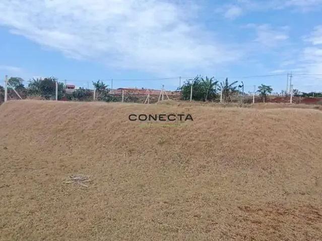 Sítio e chácara venda em Região Geográfica Imediata de Londrina, Londrina