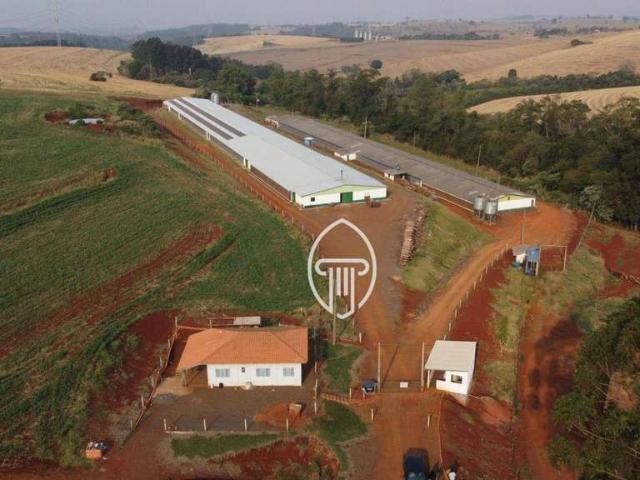 Sítio e chácara venda em Cambé, Região Geográfica Intermediária de Londrina