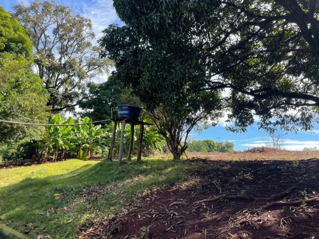 Sítio e chácara venda em Região Geográfica Imediata de Londrina, Londrina