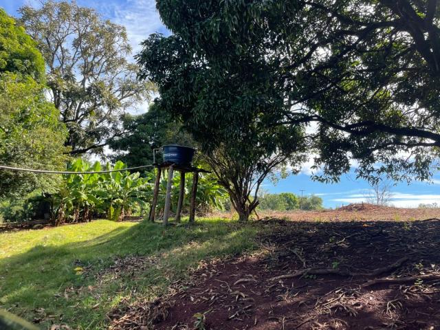 Sítio e chácara venda em Região Geográfica Imediata de Londrina, Londrina