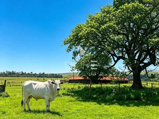 Sítio e chácara venda em Bentópolis, Guaraci