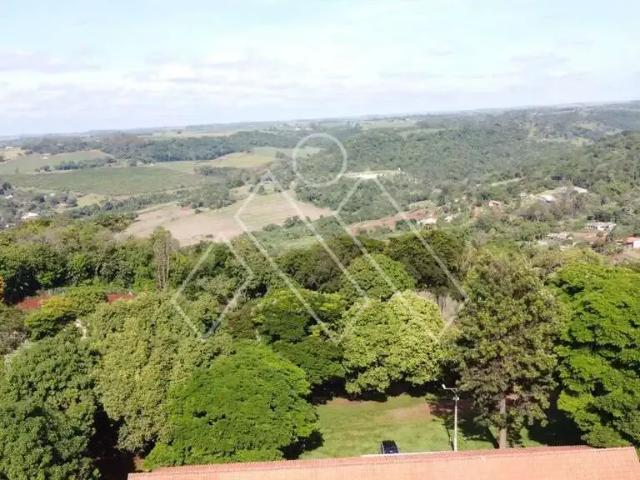 Sítio e chácara venda em Região Geográfica Imediata de Londrina, Londrina