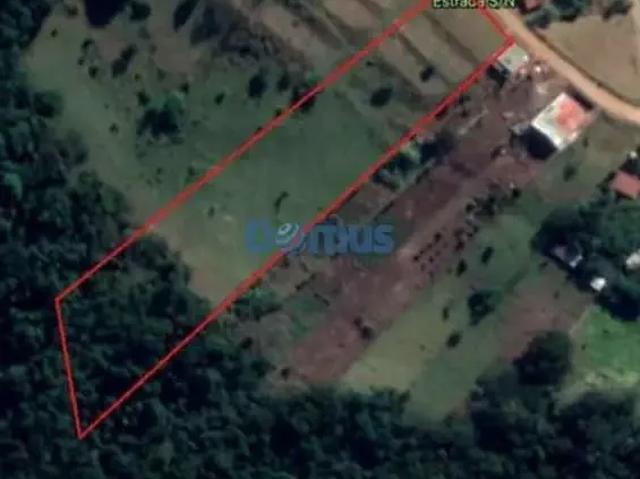 Sítio e chácara venda em Região Geográfica Imediata de Londrina, Londrina