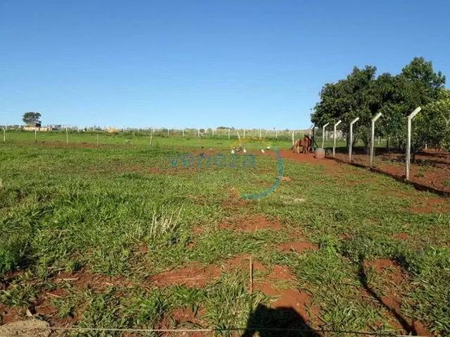 Sítio e chácara venda em Região Geográfica Imediata de Londrina, Londrina