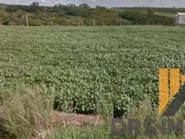 Sítio e chácara venda em Região Geográfica Imediata de Londrina, Londrina