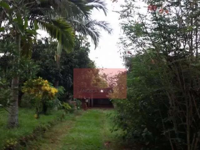 Sítio e chácara venda em Recanto Parque Guará, Ibiporã