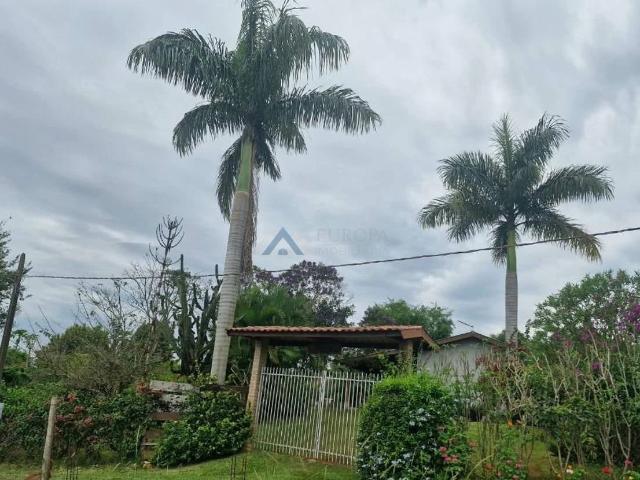 Sítio e chácara venda em Londrina, Região Geográfica Intermediária de Londrina