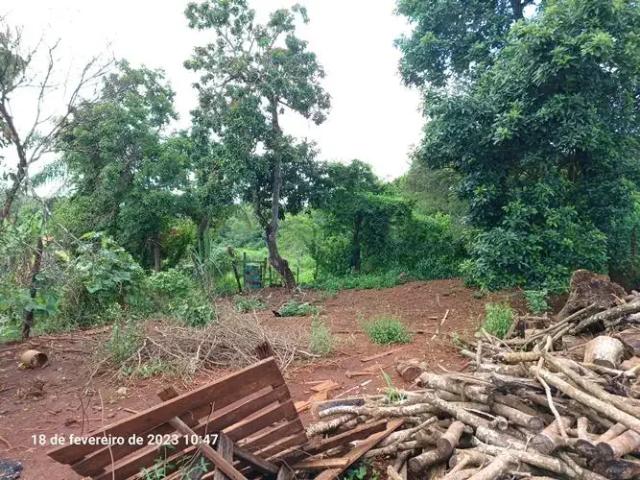 Sítio e chácara venda em Região Geográfica Imediata de Londrina, Londrina