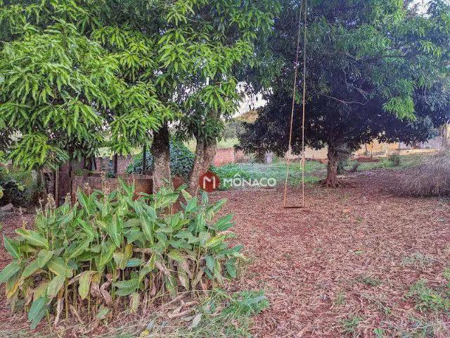 Sítio e chácara venda em Região Geográfica Imediata de Londrina, Londrina