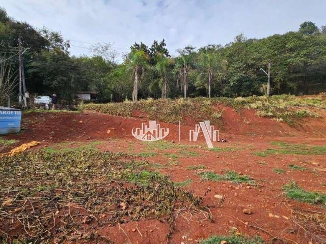 Sítio e chácara venda em Região Geográfica Imediata de Londrina, Londrina