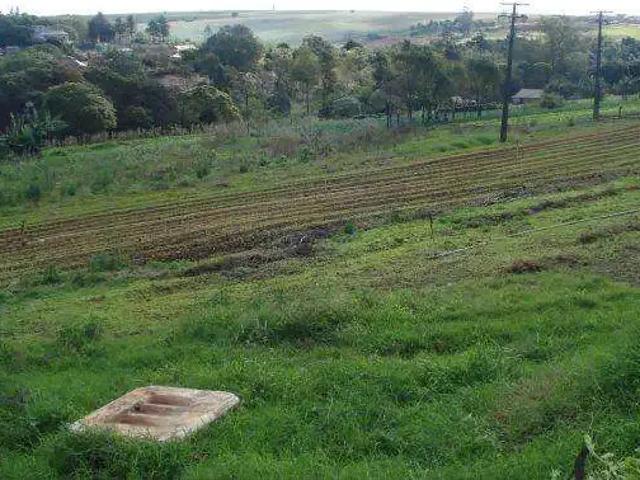 Sítio e chácara venda em Região Geográfica Imediata de Londrina, Londrina
