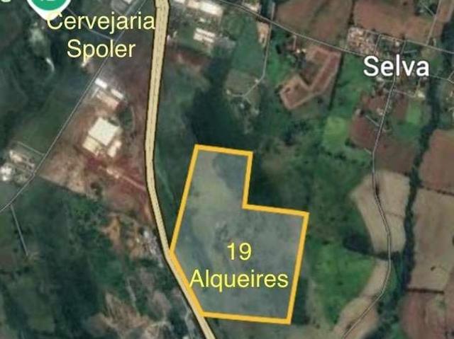 Sítio e chácara venda em Região Geográfica Imediata de Londrina, Londrina