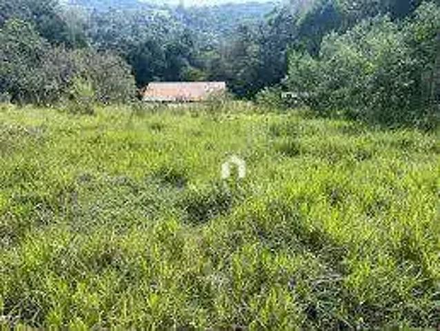 Sítio e chácara venda em Região Geográfica Imediata de Londrina, Londrina