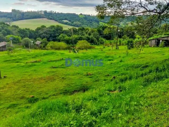 Sítio e chácara venda em Região Geográfica Imediata de Londrina, Londrina
