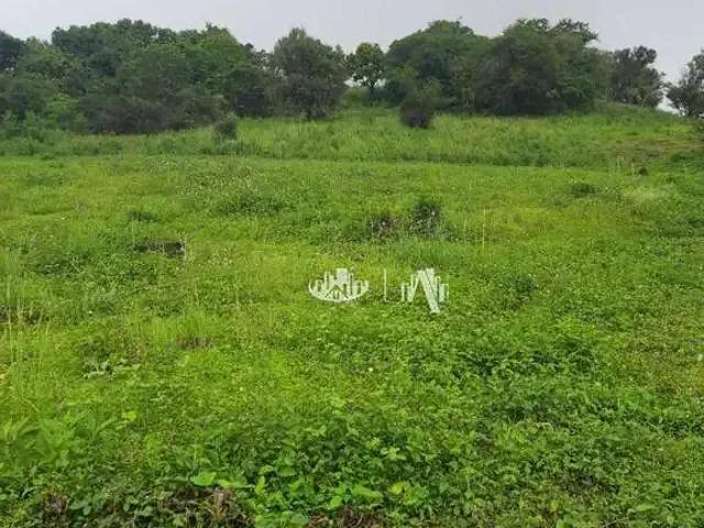 Sítio e chácara venda em Região Geográfica Imediata de Londrina, Londrina