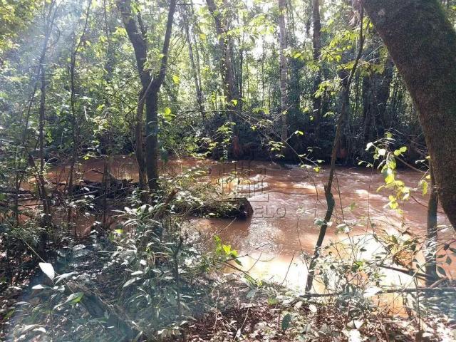 Sítio e chácara venda em Região Geográfica Imediata de Londrina, Londrina