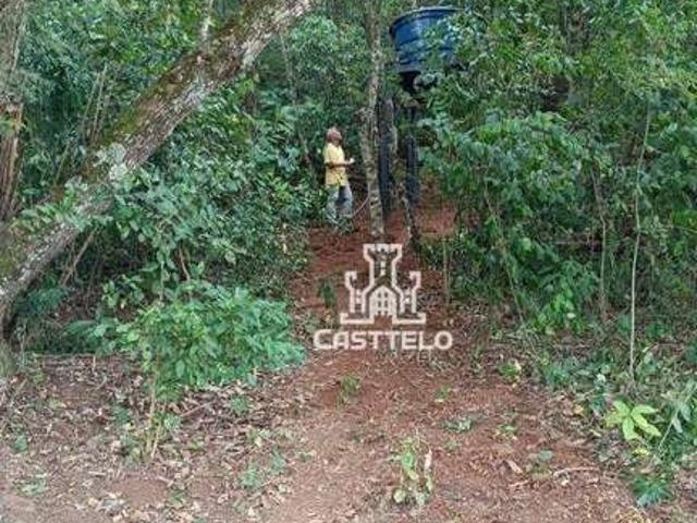 Sítio e chácara venda em Região Geográfica Imediata de Londrina, Londrina