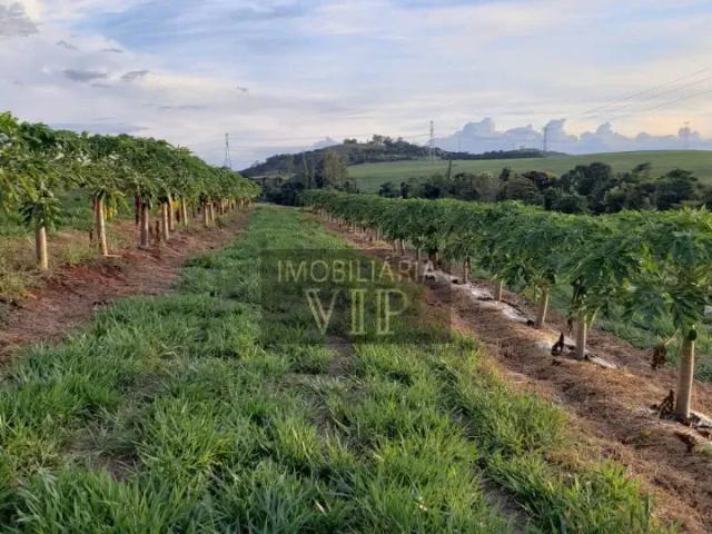 Sítio e chácara venda em Região Geográfica Imediata de Londrina, Londrina
