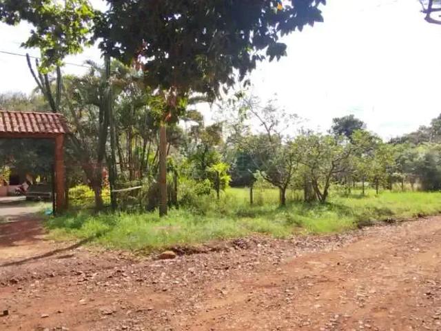 Sítio e chácara venda em Perobinha, Londrina