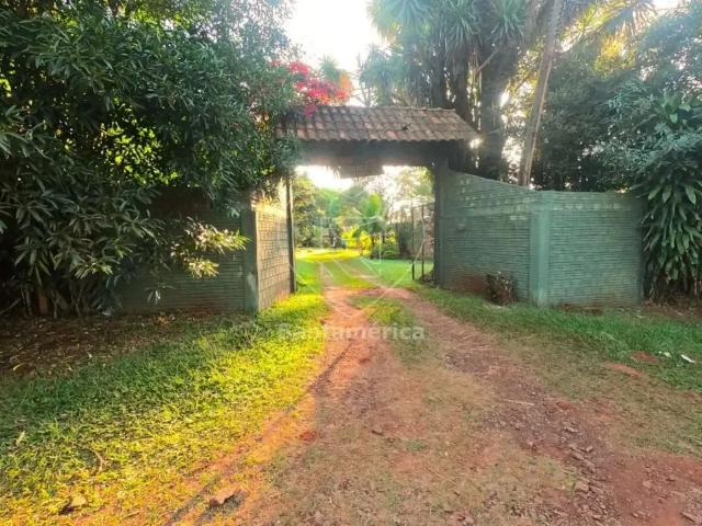 Sítio e chácara venda em Perobinha, Londrina