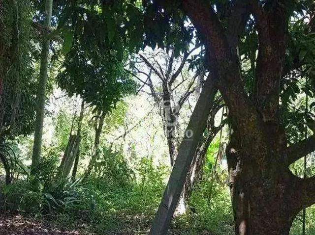 Sítio e chácara venda em Região Geográfica Imediata de Londrina, Londrina
