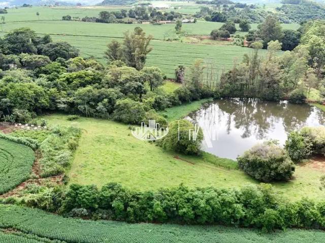 Sítio e chácara venda em Região Geográfica Imediata de Londrina, Londrina