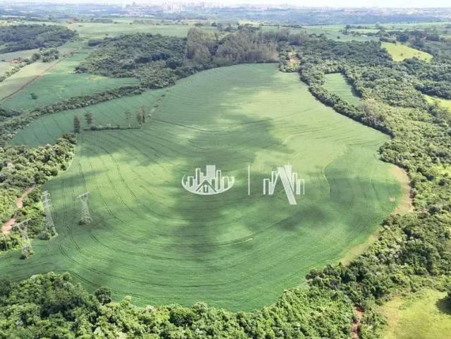 Sítio e chácara venda em Região Geográfica Imediata de Londrina, Londrina