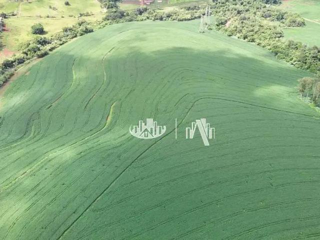 Sítio e chácara venda em Região Geográfica Imediata de Londrina, Londrina