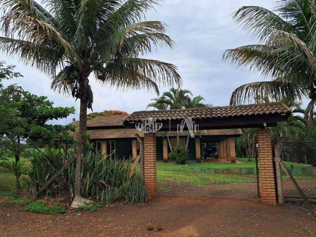 Sítio e chácara venda em Região Geográfica Imediata de Londrina, Londrina
