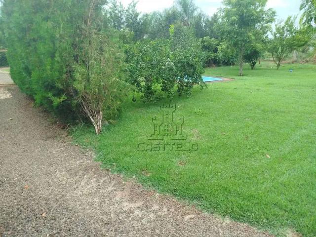 Sítio e chácara venda em Região Geográfica Imediata de Londrina, Londrina