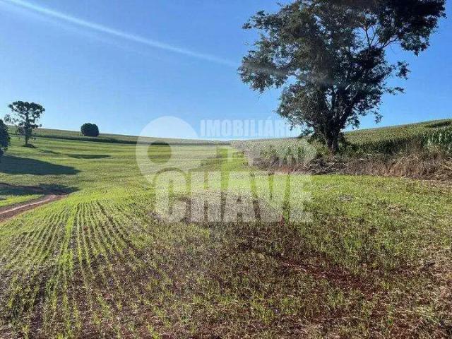 Sítio e chácara venda em Centro Histórico, Londrina