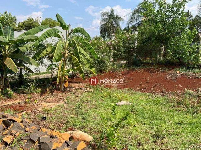 Sítio e chácara venda em Região Geográfica Imediata de Londrina, Londrina