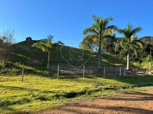 Sítio e chácara venda em Londrina, Paraná