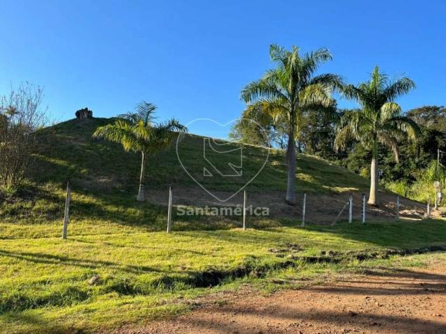 Sitio venda em Londrina, Centro Histórico