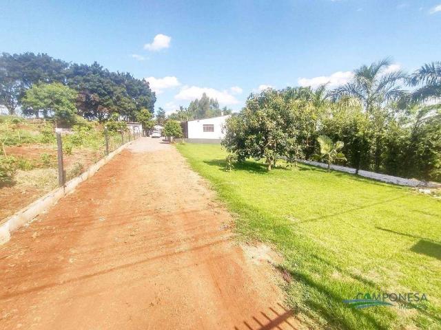 Sítio e chácara venda em Região Geográfica Imediata de Londrina, Londrina