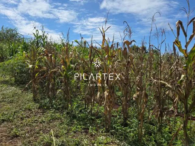 Sítio e chácara venda em Região Geográfica Imediata de Londrina, Londrina